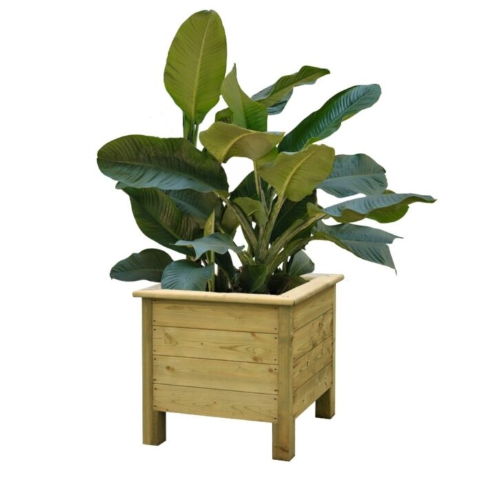 Plaza Planter