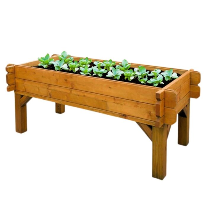 Raised Veggie Box