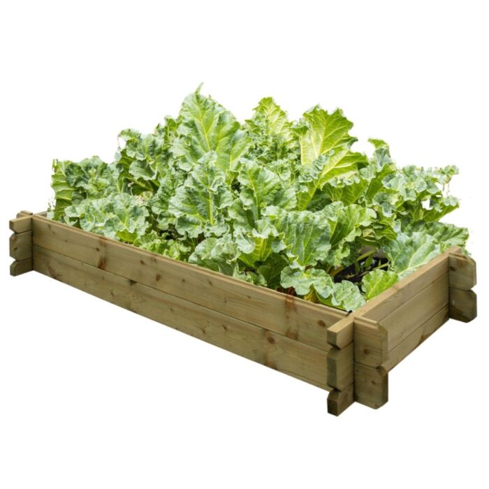 Veggie Box