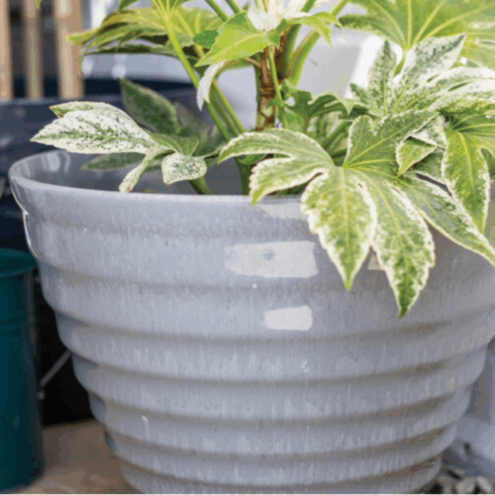 Vale Planter With Built In Saucer - Image 9