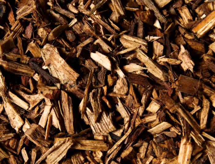 Chipbark - Image 5