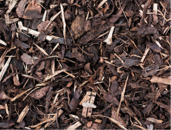 Chipbark - Image 2