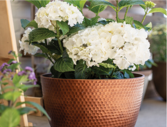Elements Copper Metal Effect Large Planter - Image 2