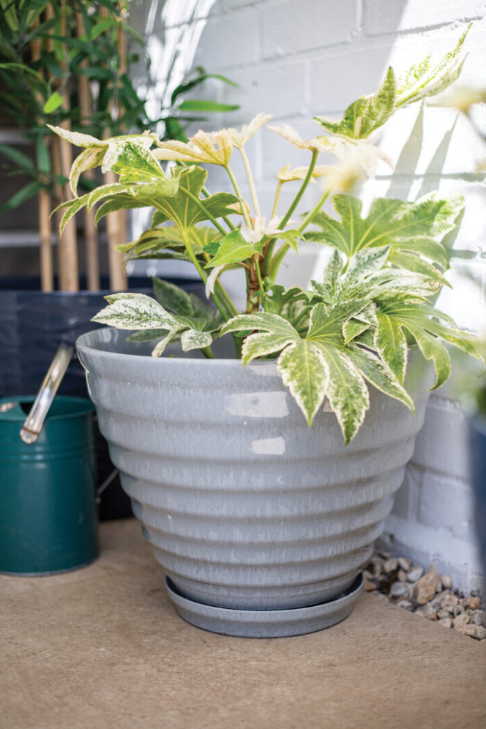Vale Planter Grey With Built In Saucer - Image 3