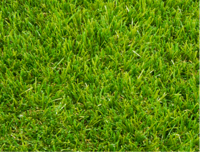 Victoria Grass 35mm (4 Metre Wide Roll)