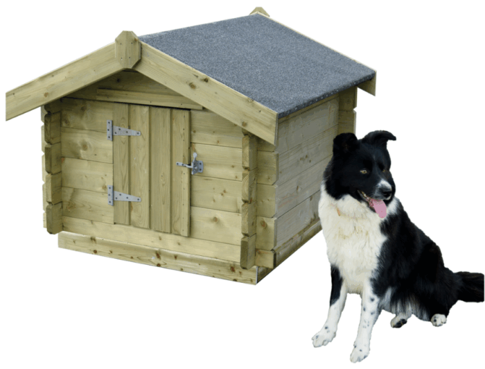 Woodford Dog Kennels