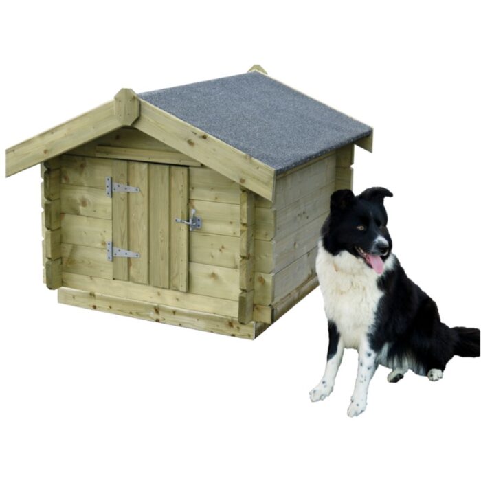 Woodford Dog Kennels